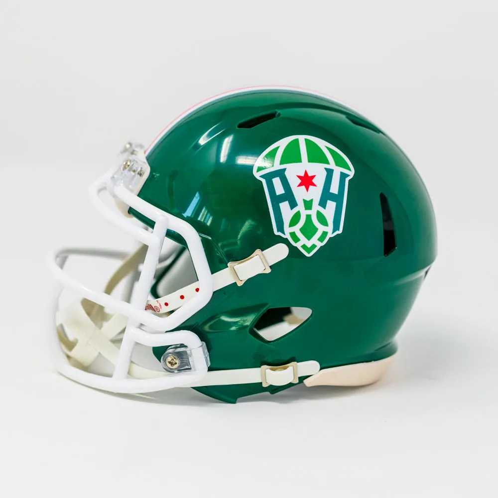 Franchise IPA Mini Riddell Football Helmet