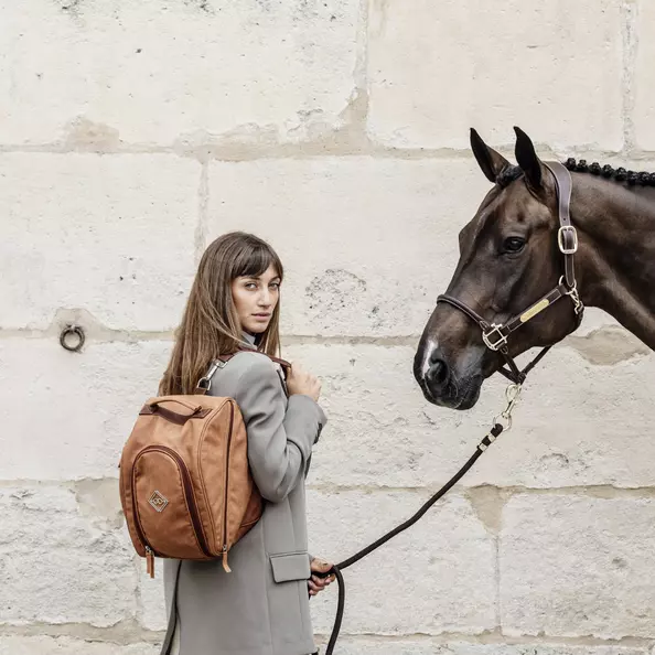 Grooming Deluxe Chestnut Helmet Bag