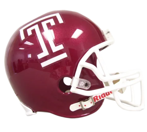 Temple Riddell Speed Mini Helmet